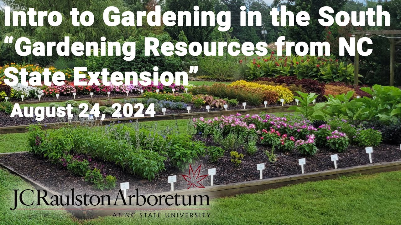 Intro to Gardening in the South - 