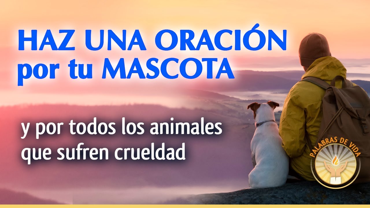 Oracion por las mascotas y todos los animales que sufren en este mundo