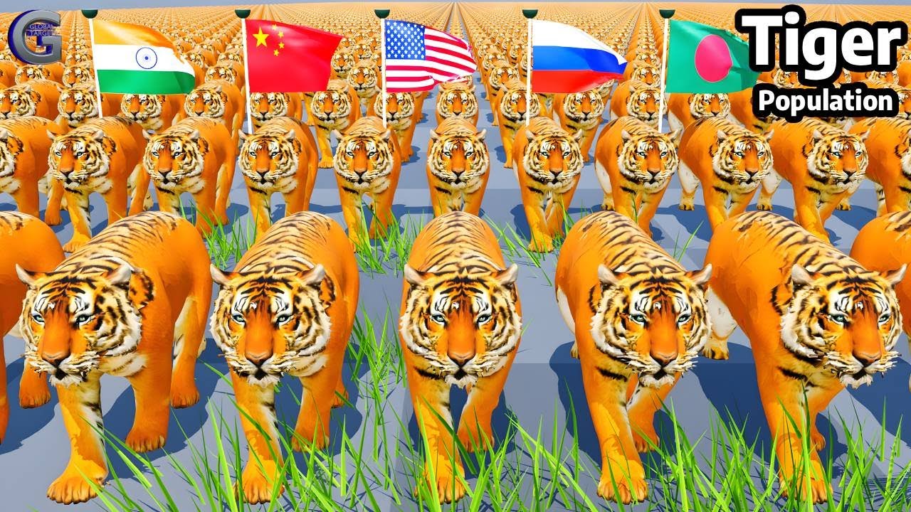 Tiger Population by Country 2025 | Comparison Video