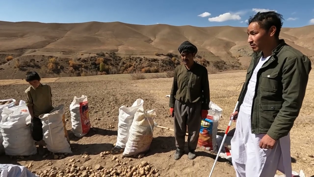 خر سواری در زادگاه و صحبت با تجار کچالو در بهسود 