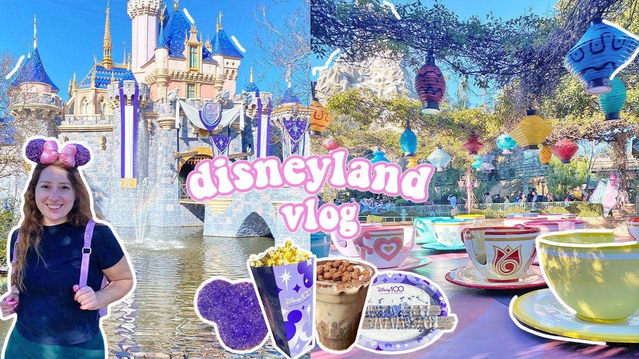 🏰♡🍰Disneyland Birthday Vlog🍰♡🏰