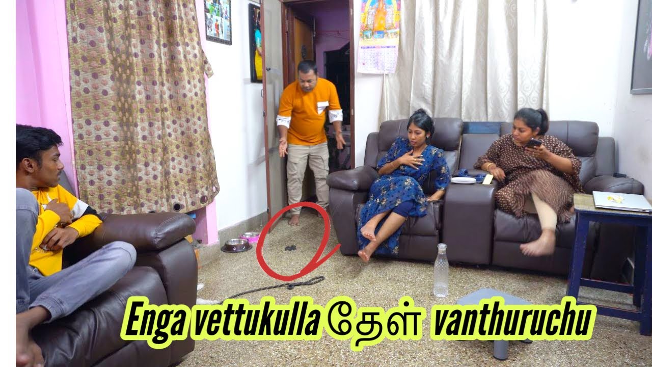 எங்க வீட்டுக்குள்ள தேள் வந்துருச்சு😳😭 mama with babyma