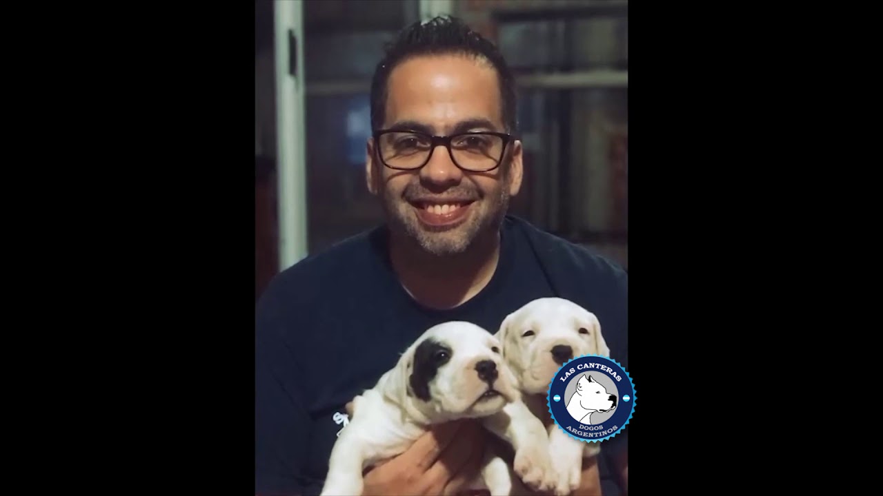 DOGOS LAS CANTERAS