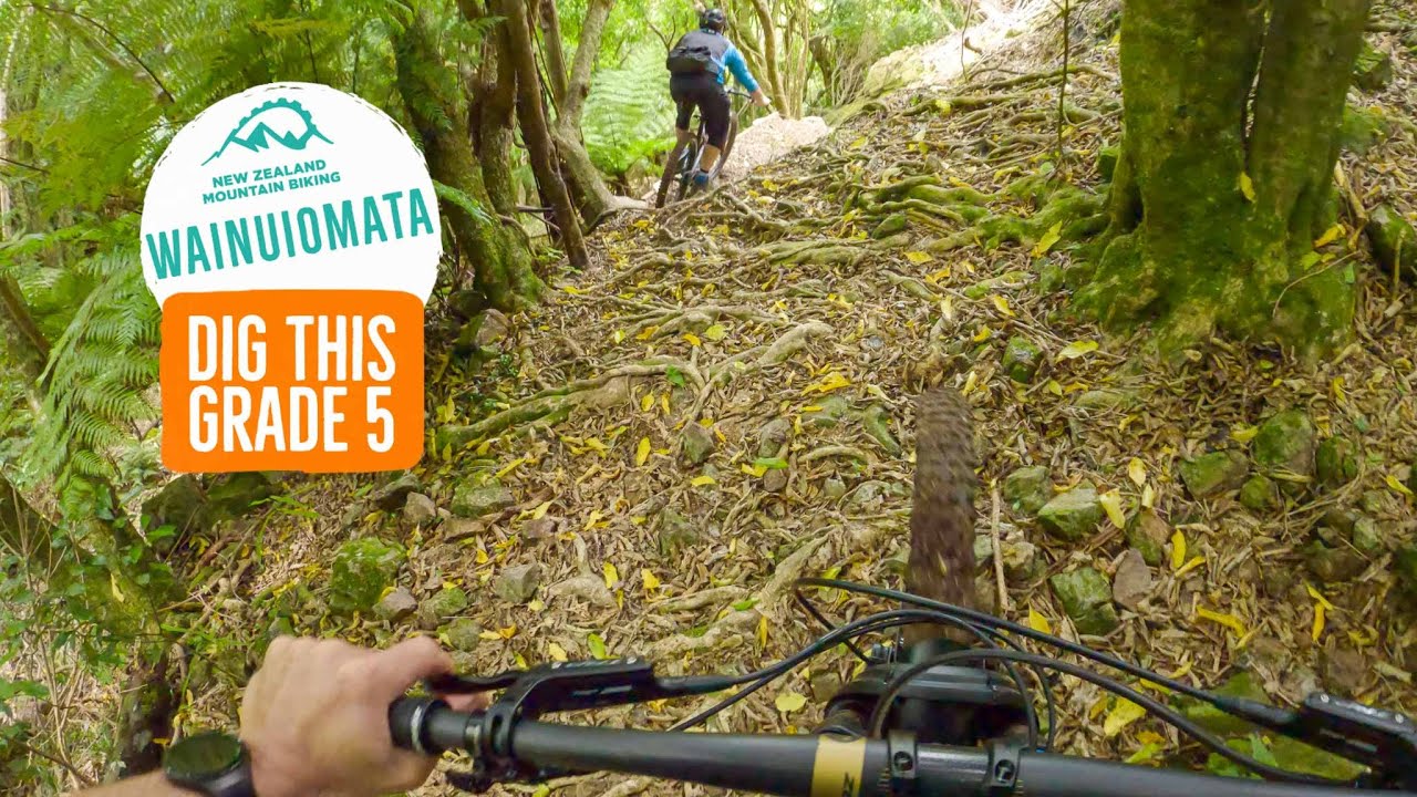 What happens when I visit the Zerode HQ - Dig This, Wainuomata