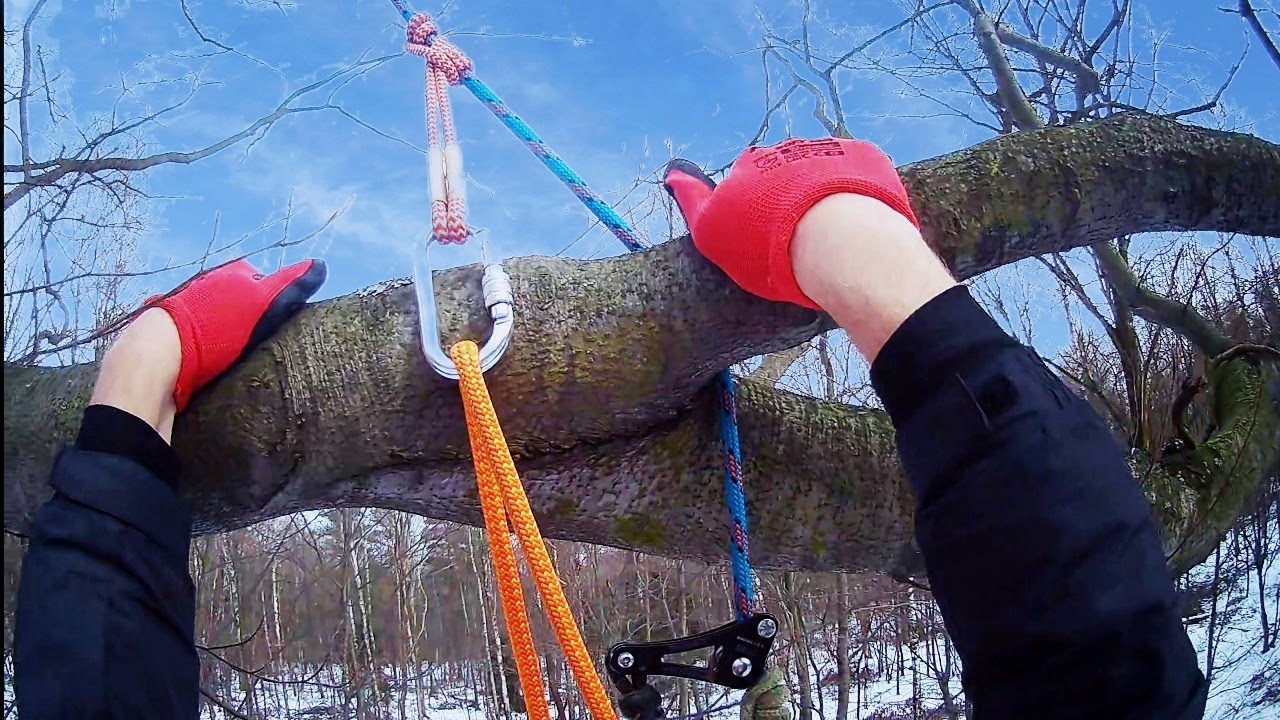 Tree climbing passing redirect to the central climbing axis.Rope Wrench #treeclimbing #climbing