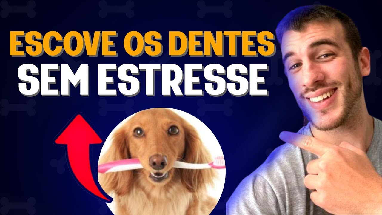 COMO ESCOVAR OS DENTES DO SEU CACHORRO | PASSO A PASSO COMPLETO NA PR&Aacute;TICA