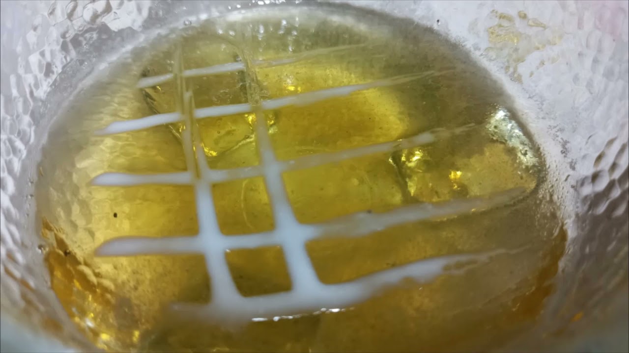 Cultivo Lactobacillus