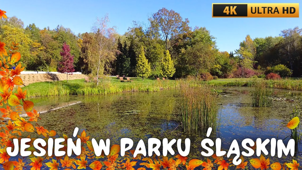 🍁 Piękna jesień w Parku Śląskim 🍁