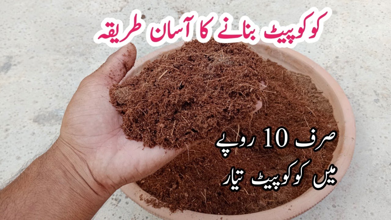 Cocopeat banane ka asaan tarika || How to make cocopeat at home.