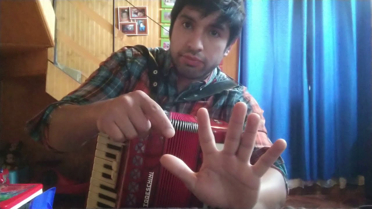 Curso de Acordeón - 8. Los bajos
