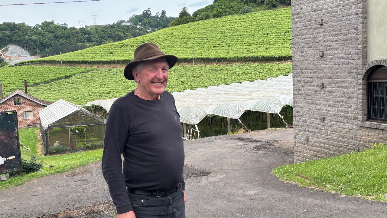 TEREI QUE CORTAR FORA 40 MIL PÉS DE UVA- SEU JOSÉ VINICOLA ZANROSSO
