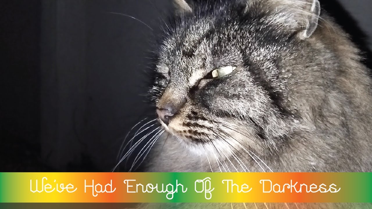 ✨ We've Had Enough Of The Darkness ✨