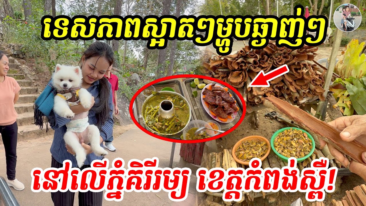 ទេសភាពស្អាតៗម្ហូបឆ្ងាញ់ៗ នៅលើភ្នំគិរីរម្យ​ / Kirirom Mountain, Kampong Speu Province, Cambodia!