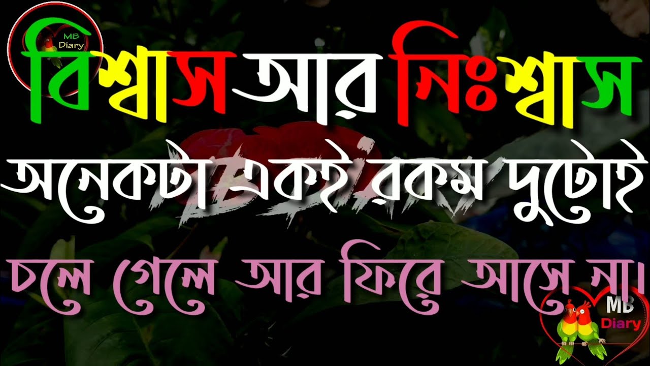 #বাস্তবতা#খারাপ#অবহেলা বিশ্বাস আর নিশ্বাস অনেকটা একই রকম দুটোই চলে গেলে আর ফিরে আসে না।
