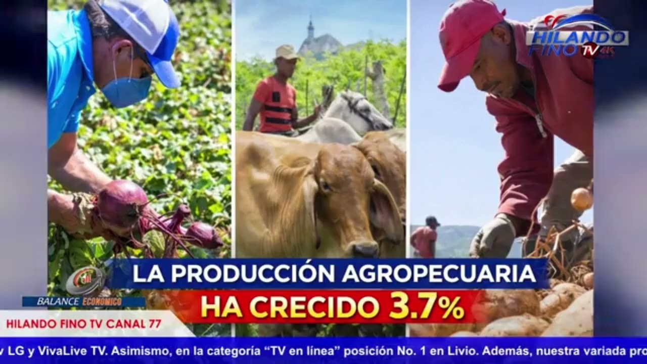 Economía dominicana 2025: análisis sectorial del IMAE | Alejandro Arredondo