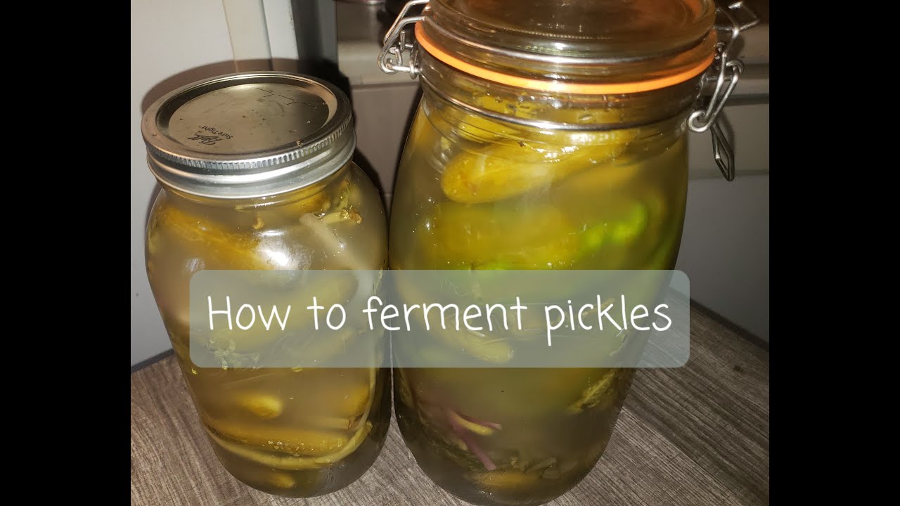 How to ferment pickles