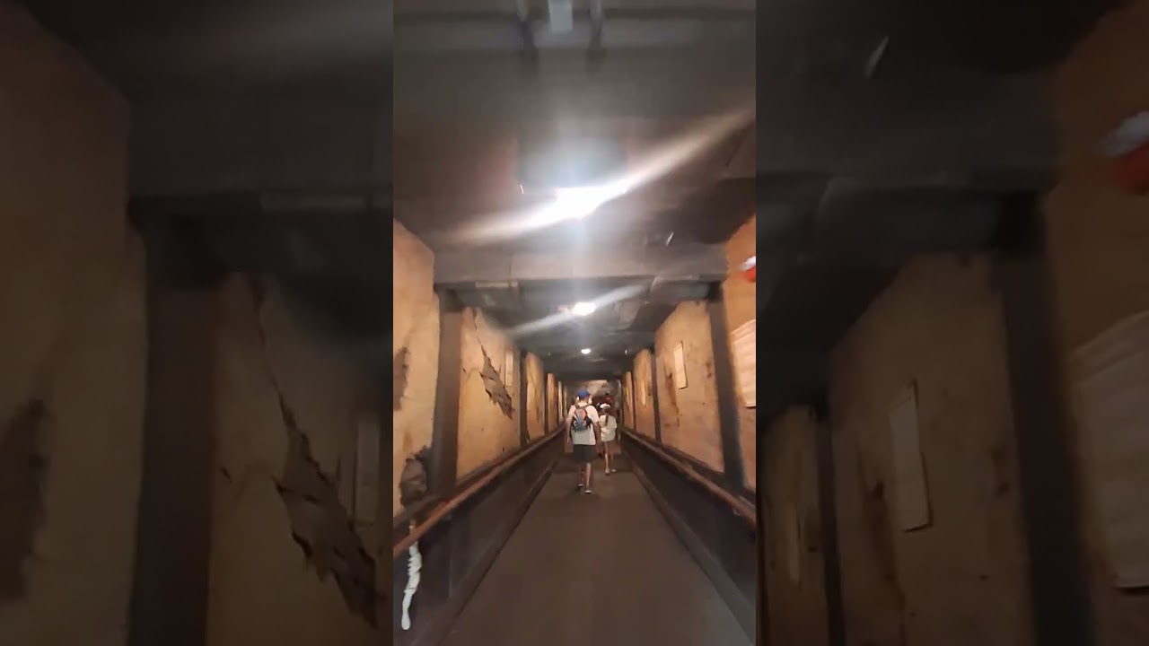 2024 Opening Day Tour & Tips Tianas Bayou adventure #tianasbayouadventure #magickingdom