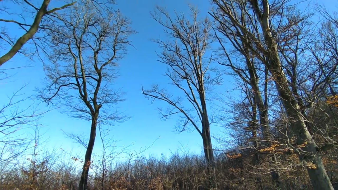 A szél hangja a Zengőn 2026.02.18