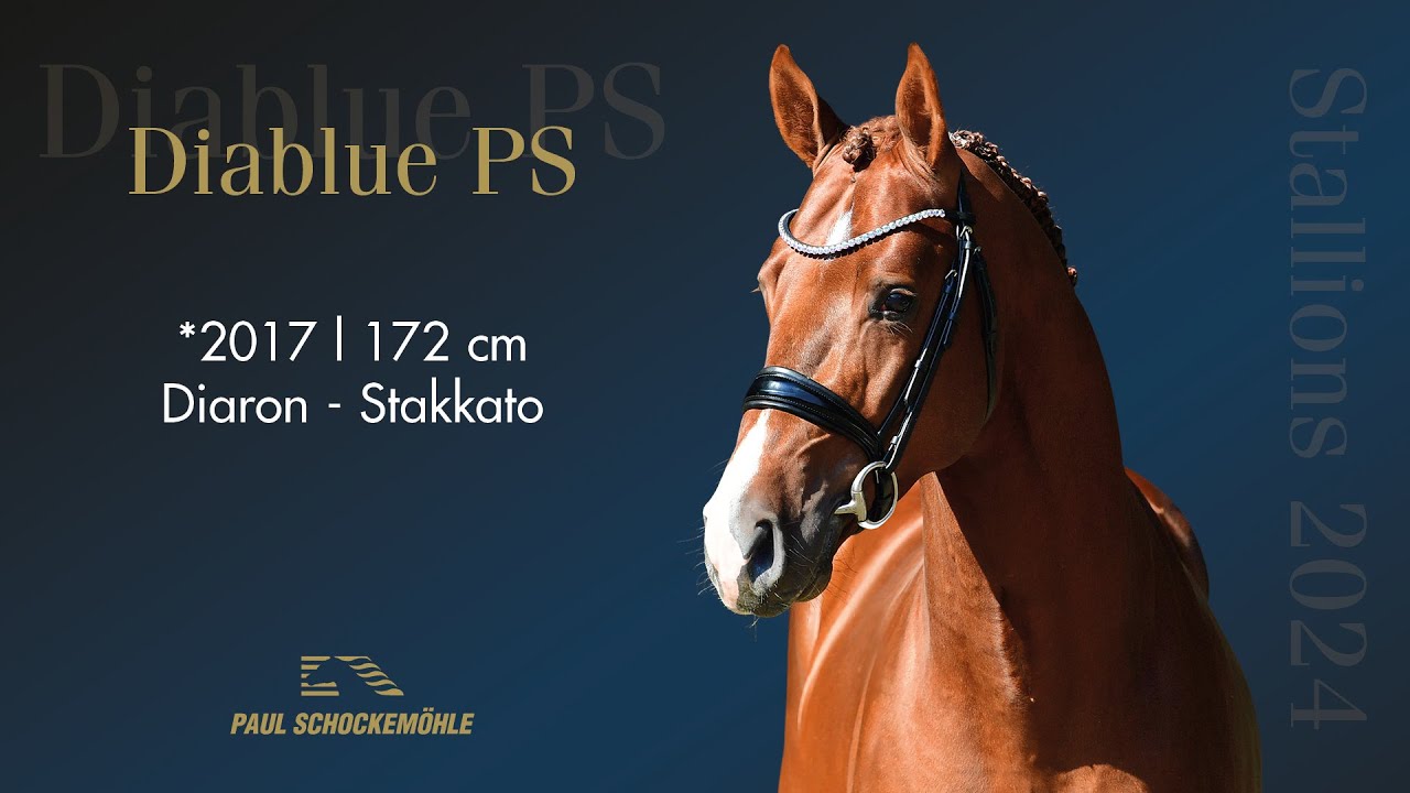 Diablue PS (ENG)