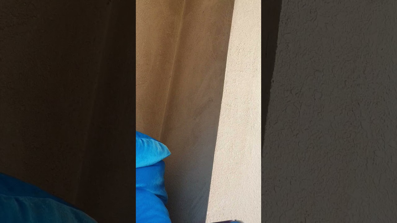 build bird nest in my balcony