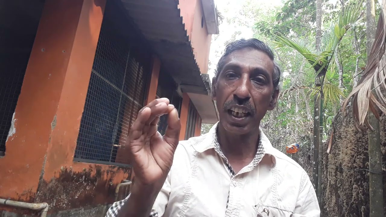 Koziyum kunjungalum