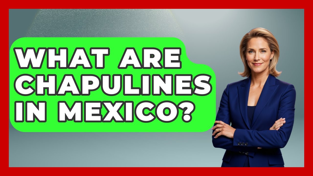 What Are Chapulines In Mexico? - Magical Mexico Moments