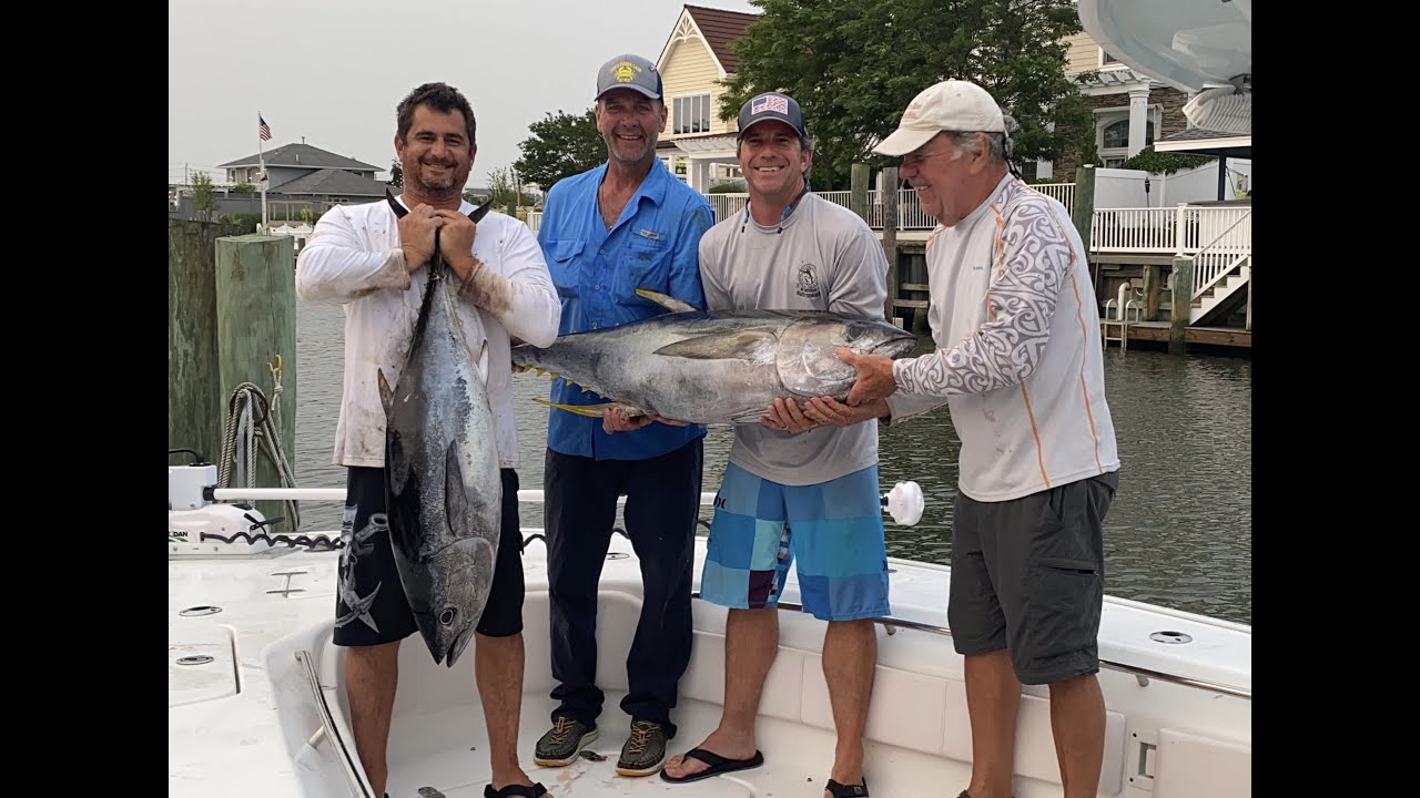Big Yellowfin Tuna And a Broken Trusted Gaff