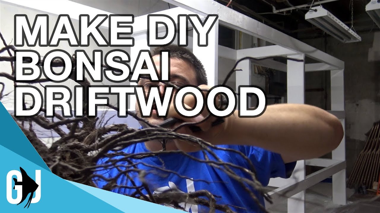 #597: HOW TO MAKE AQUARIUM BONSAI DRIFTWOOD - DIY Wednesday