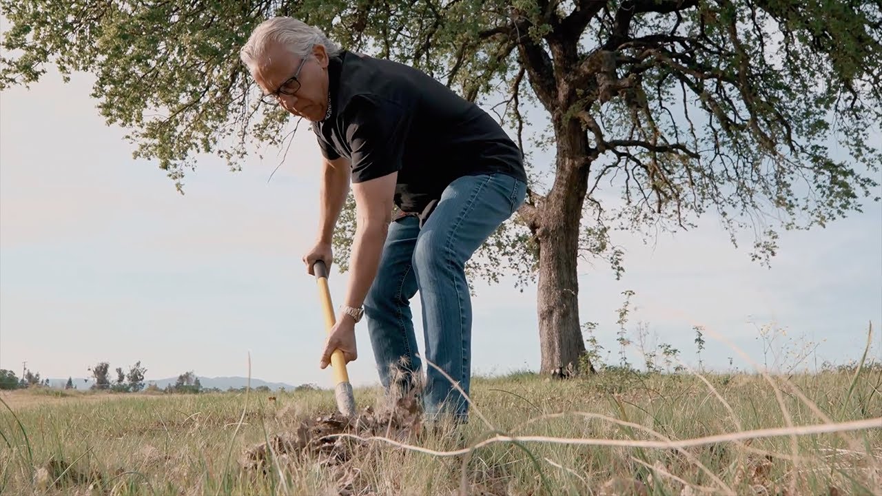 Arise & Build | Preparing for Revival | Bethel Church