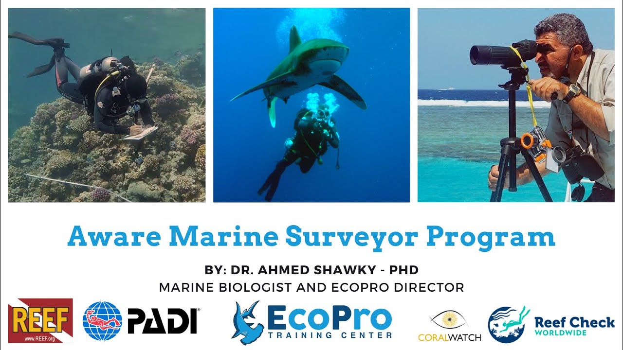 Aware Marine Surveyor Program (English)