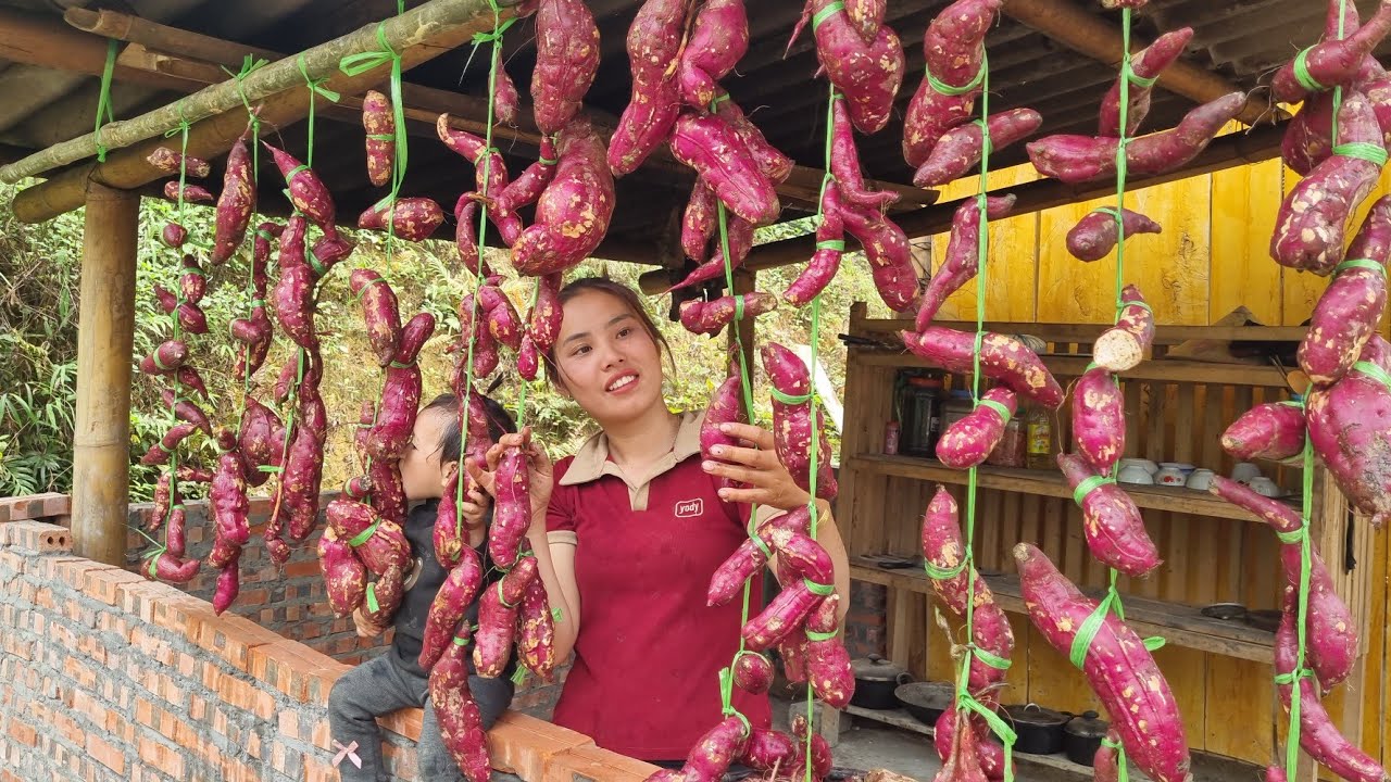 Harvesting a giant sweet potato garden, preserving it - Cooking potatoes to eat with your children