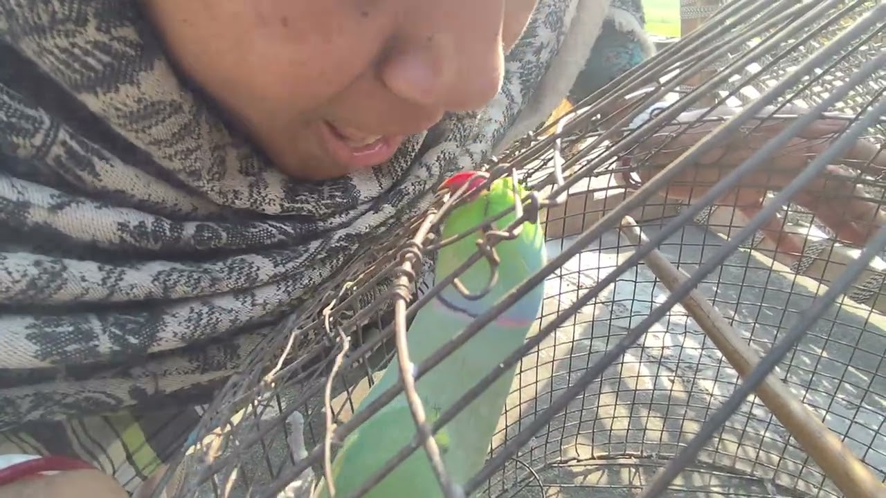 Mithu ne kya kya bola ☺☺☺🥰🥰🥰