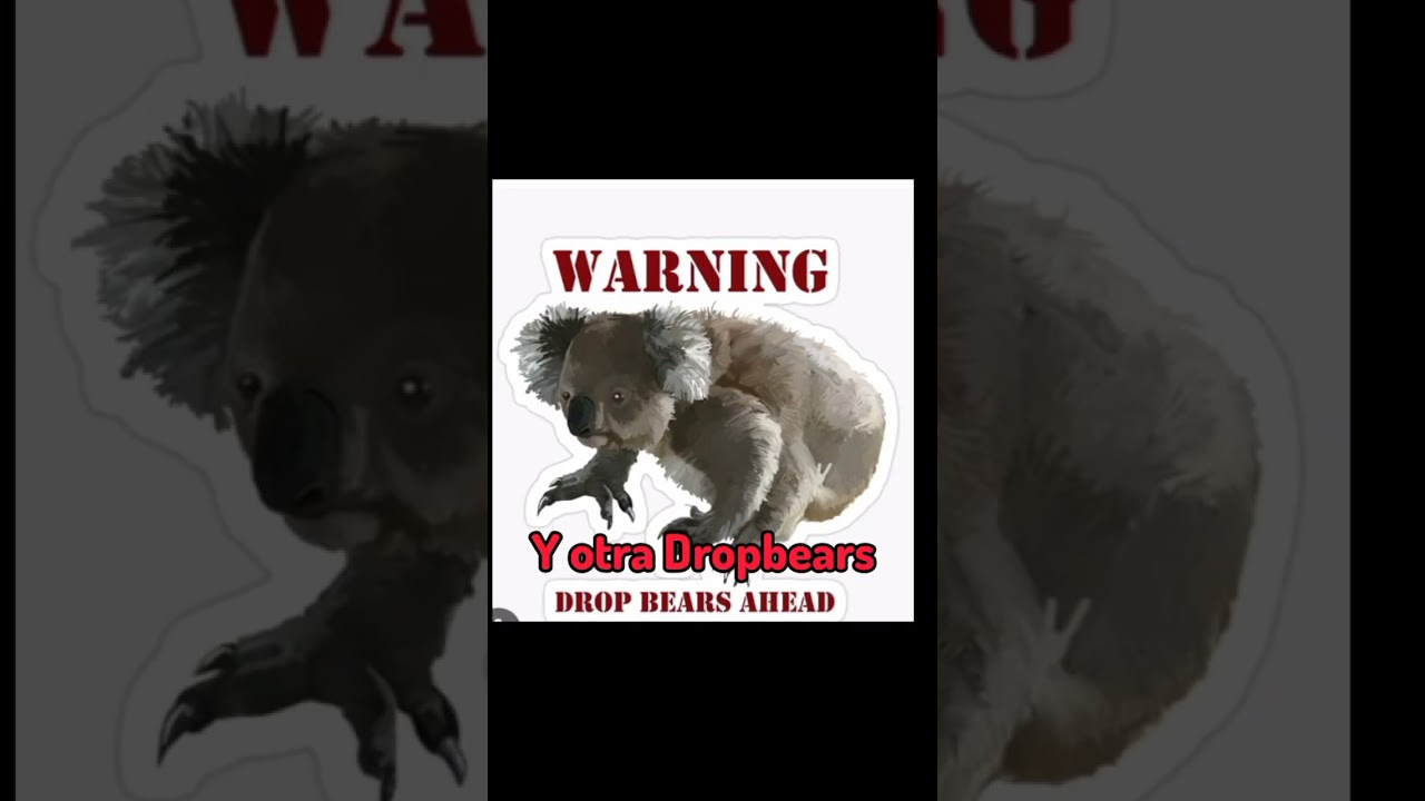 Dropbears🐨🩸... #dropbear #shorts #terror #koala