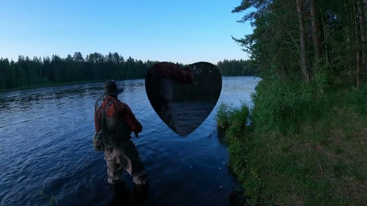 Flugfiske i Älvdalen juni 2023 del 4. #flugfiske #flyfishing