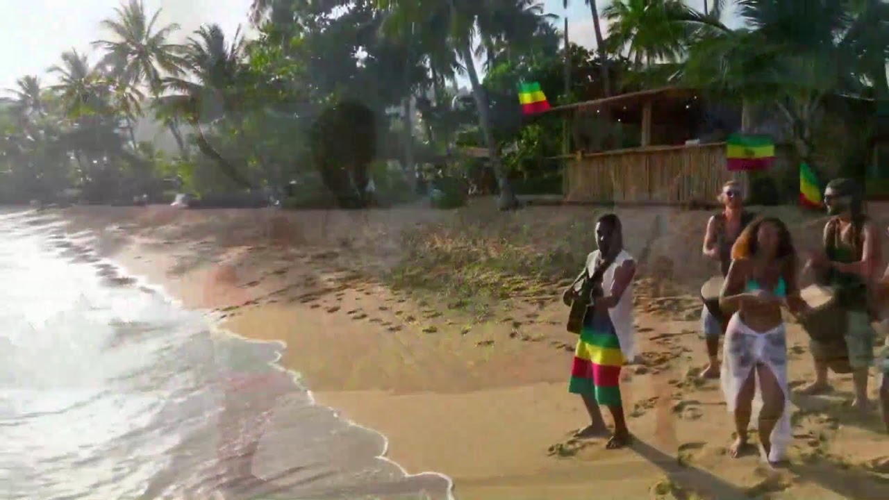 Drug Song Janko Nilovic Acoustic Reggae 2025 Night Guitar Flow for Meditation and Rest