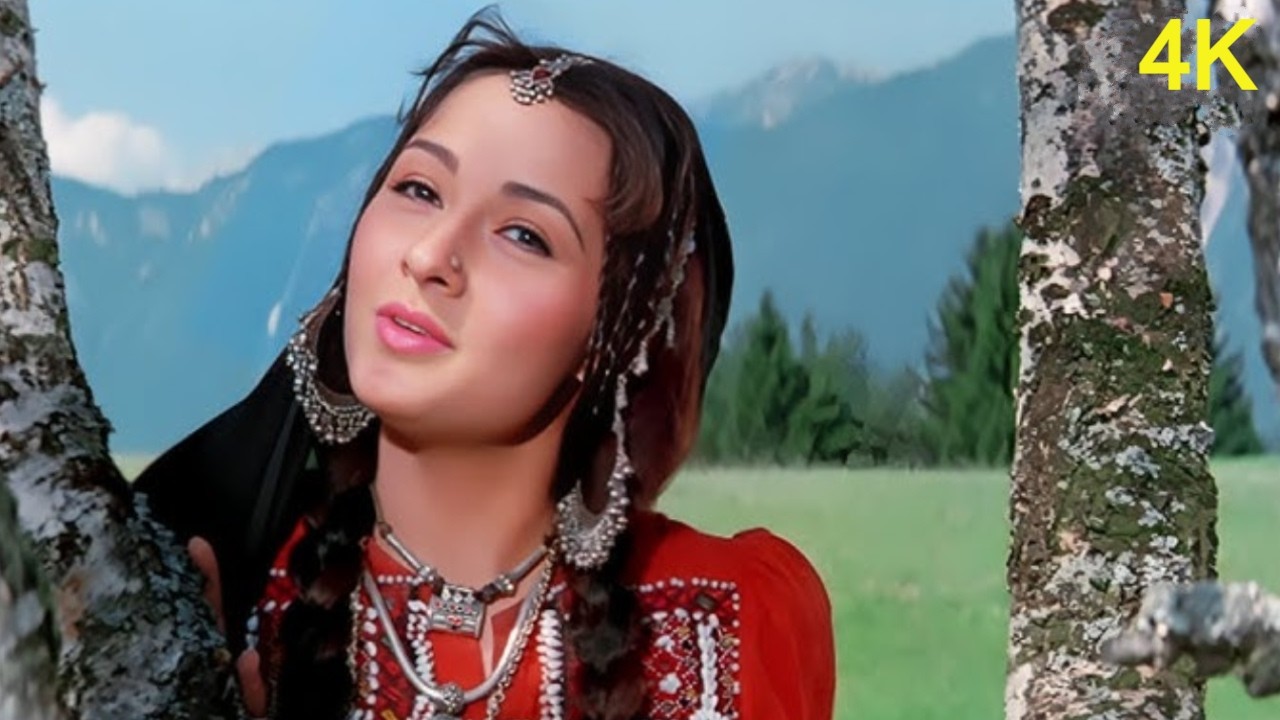 Heena (1991) Full Video Jukebox | Rishi Kapoor - Zeba Bakhtiar | Lata Mangeshkar - Mohammed Aziz