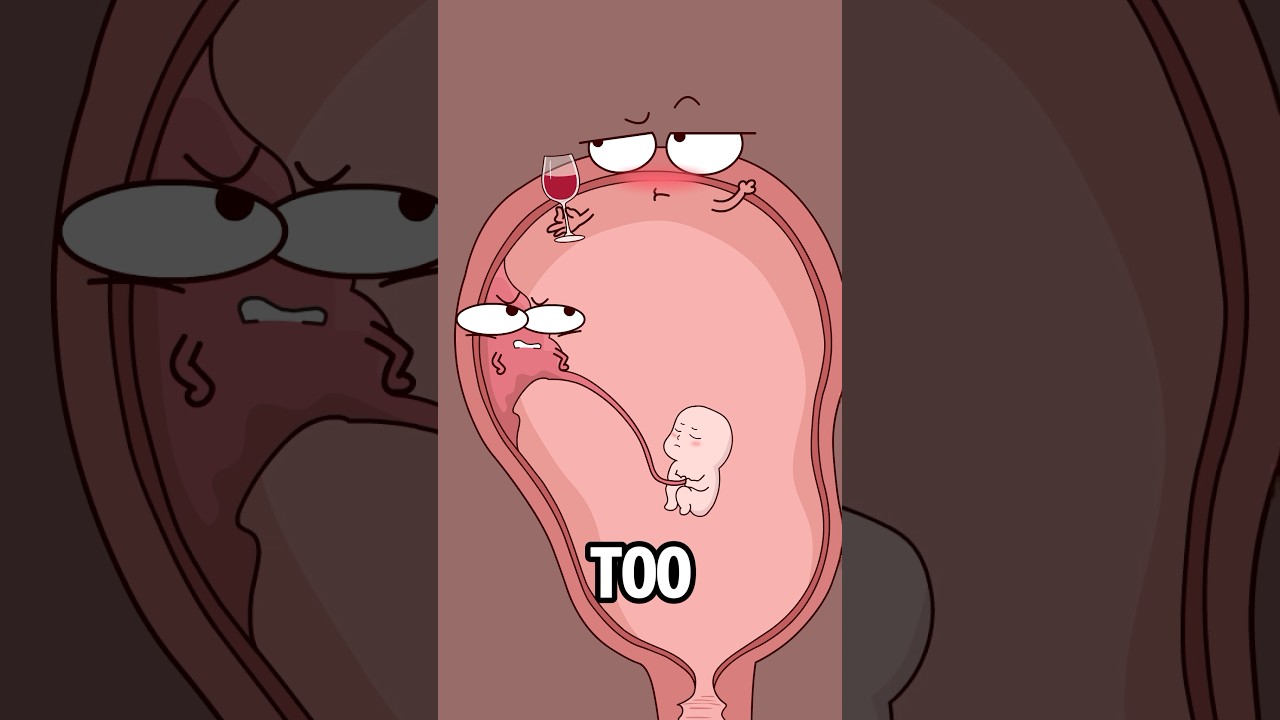 Why can't pregnant women drink alcohol?#animation #funny #shorts