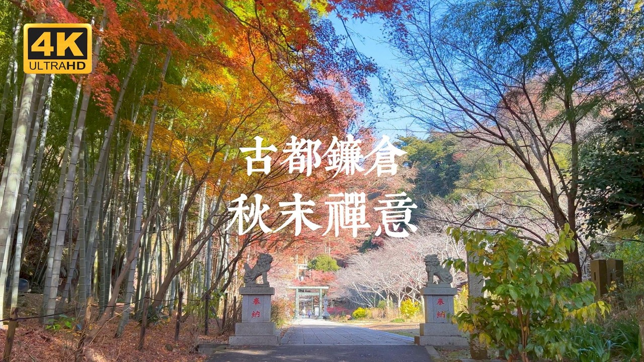 【鎌倉VLOG EP03】遠離人潮的秋日靜謐！古都鎌倉的禪意紅葉經典路線 | 星巴克御成町店、淨智寺、明月院、建長寺、高德院、大都會飯店