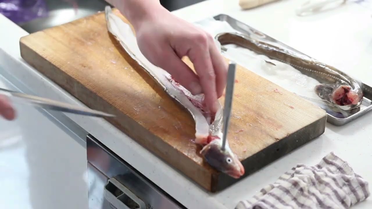 The Art of Japanese Knife Skills | Filleting Conger Eel (Anago)