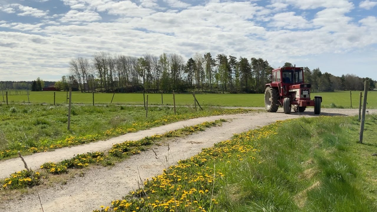 K&ouml;p Veterantraktor International 1046 p&aring; Klaravik