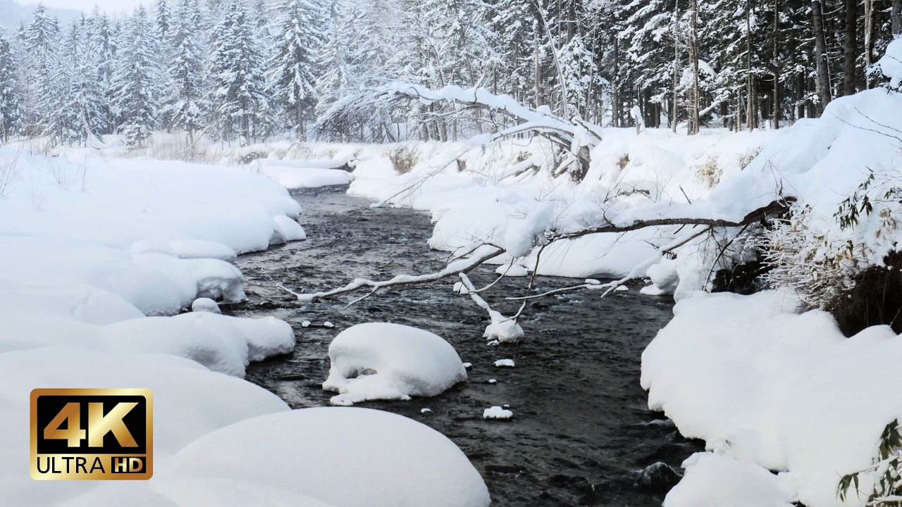 The Last Snowfall of the Season | 10h Quiet River Ambience for Stress Relief & Restful Sleep