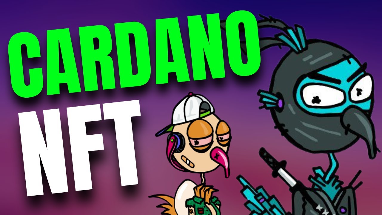 CNFT Spotlight: Derp Birds 🦤