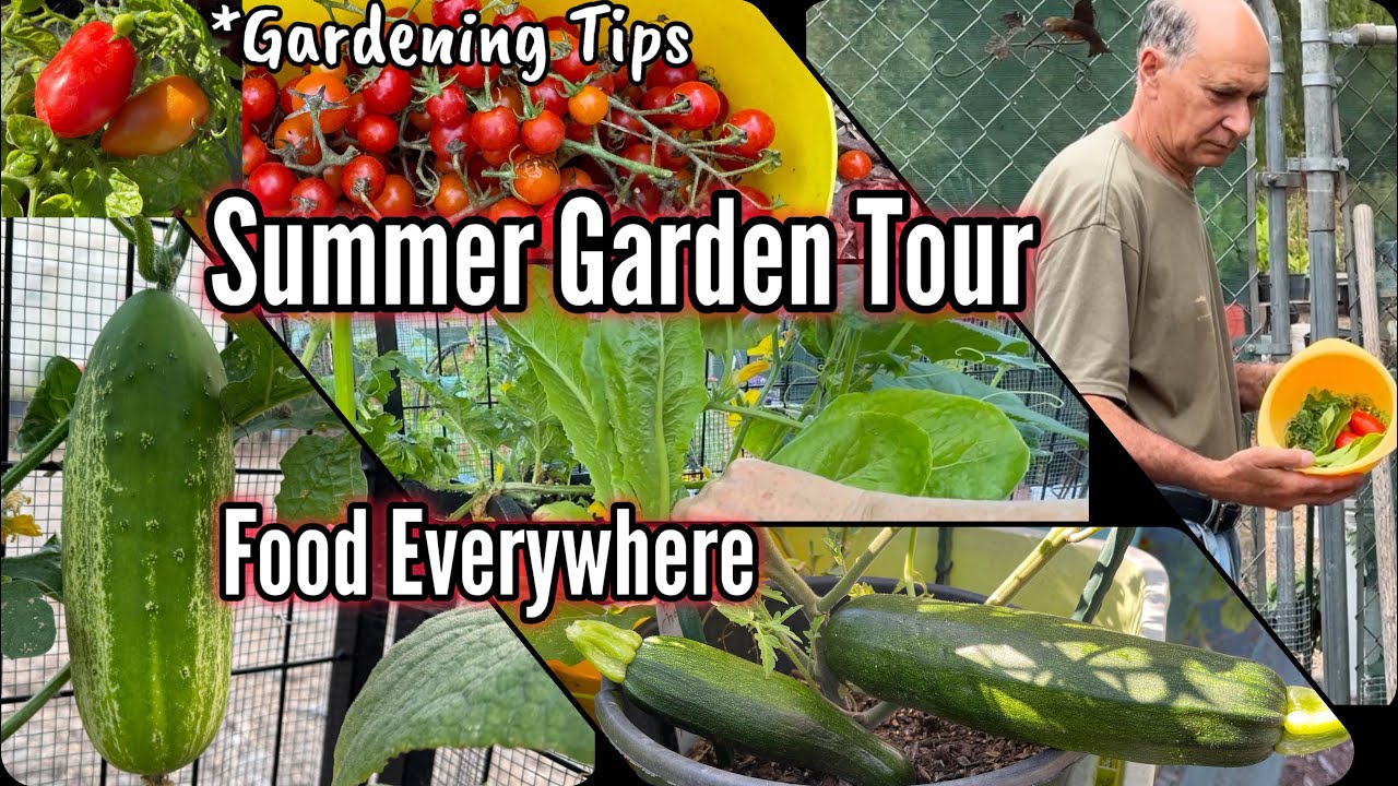 Vegetable Garden Tour TIPS Growing Tomatoes Peppers Lettuce Herbs Kale Collard Container Gardening