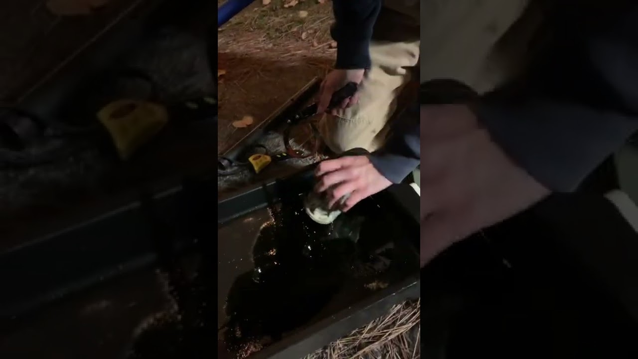 Stuck oil filter NEW hack