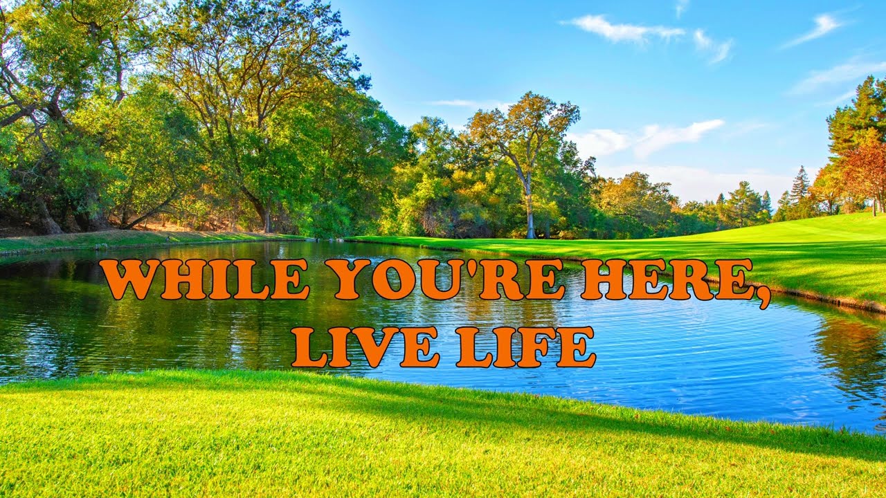 WHILE YOU'RE HERE, LIVE LIFE