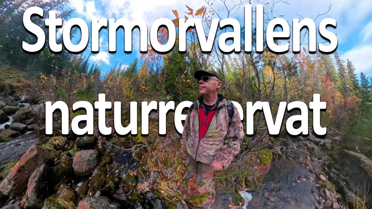 Stormorvallens naturreservat