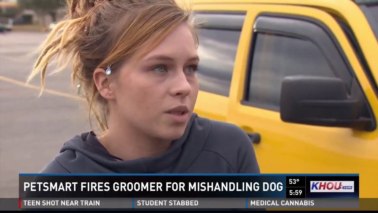 Caught on camera: Dog mishandled by PetSmart groomer