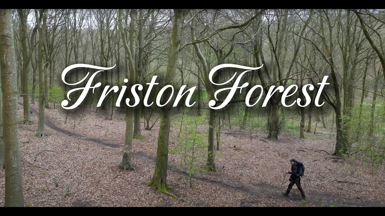 Friston Forest - A Solo Hiking Movie
