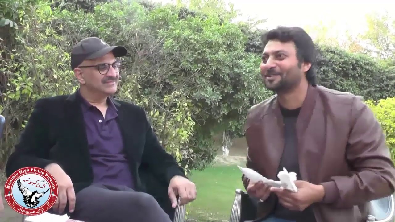 Some Discussions Regarding Low Flying PIgeons with Sheikh HUsnain Haider