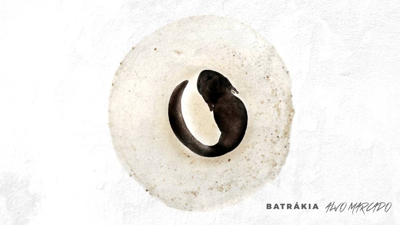 Batr&aacute;kia - Aquilo que Passei